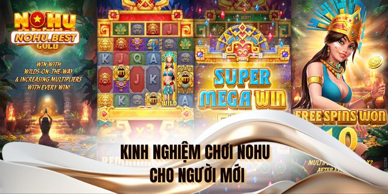 Kinh nghiệm chơi NOHU cho người mới